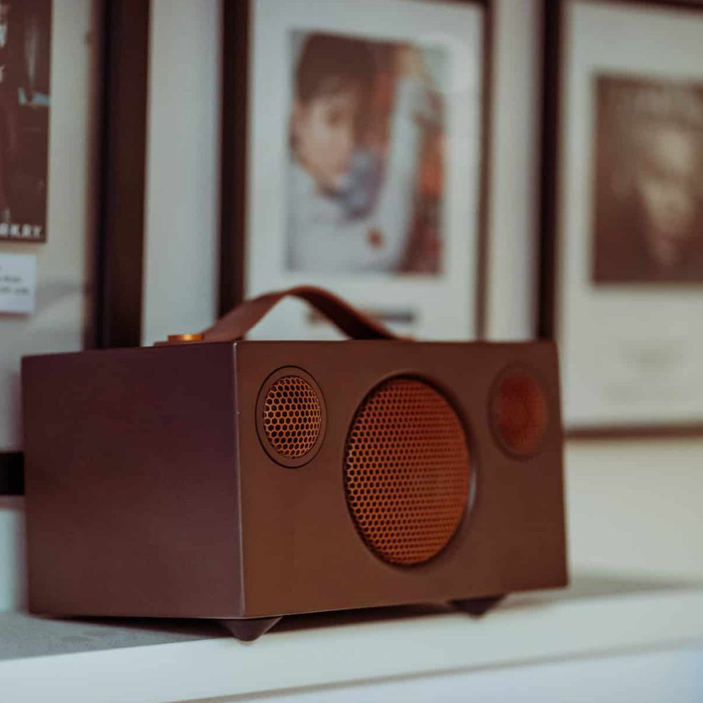 wireless portable speaker T3 LIMITED EDITION ANDREAS STONE AudioPro Lifestyle 77 e1728545296700