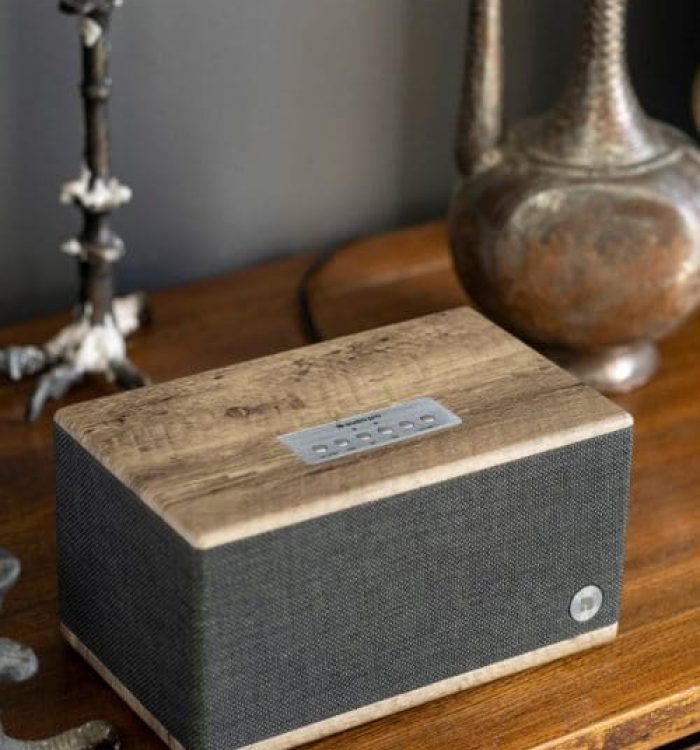 wireless-bluetooth-speaker-BT5-driftwood-lifestyle04-AudioPro